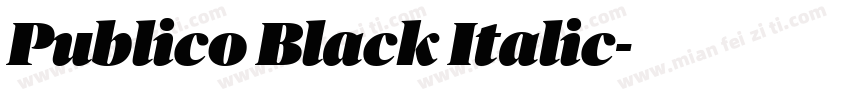 Publico Black Italic字体转换